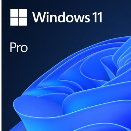 Software Microsoft Windows 11 Pro 64bit DVD OEM english FQC-10528