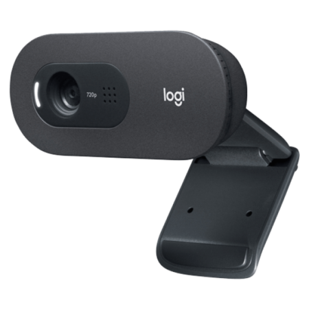 Web camera Logitech C505e 960-001372
