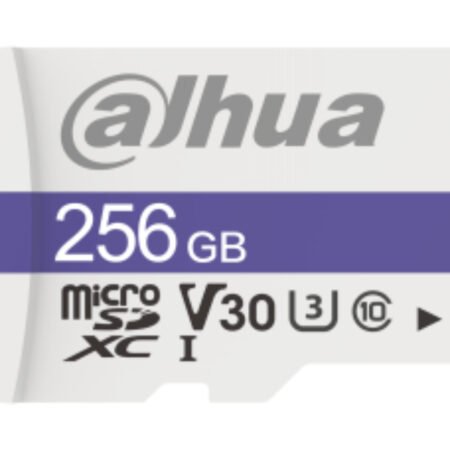 C100 MicroSDHC 256GB U1 DHI-TF-C100/256GB