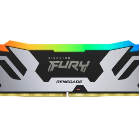 DIMM DDR5 48GB 6000MT/s KF560C32RSA-48 FURY Renegade Silver/Black RGB XMP