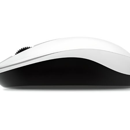 DX-120 USB Optical beli miš