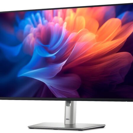 27 inch P2725HE 100Hz USB-C Professional IPS monitor