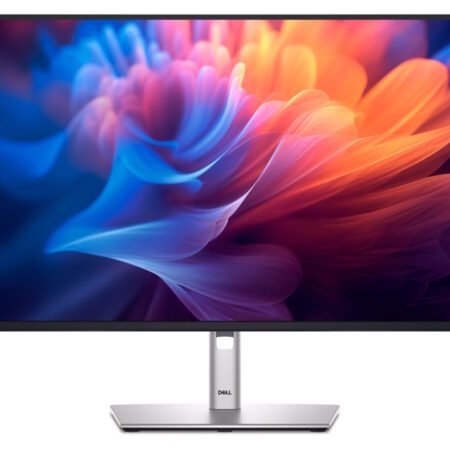 27 inch P2725H 100Hz Professional IPS monitor