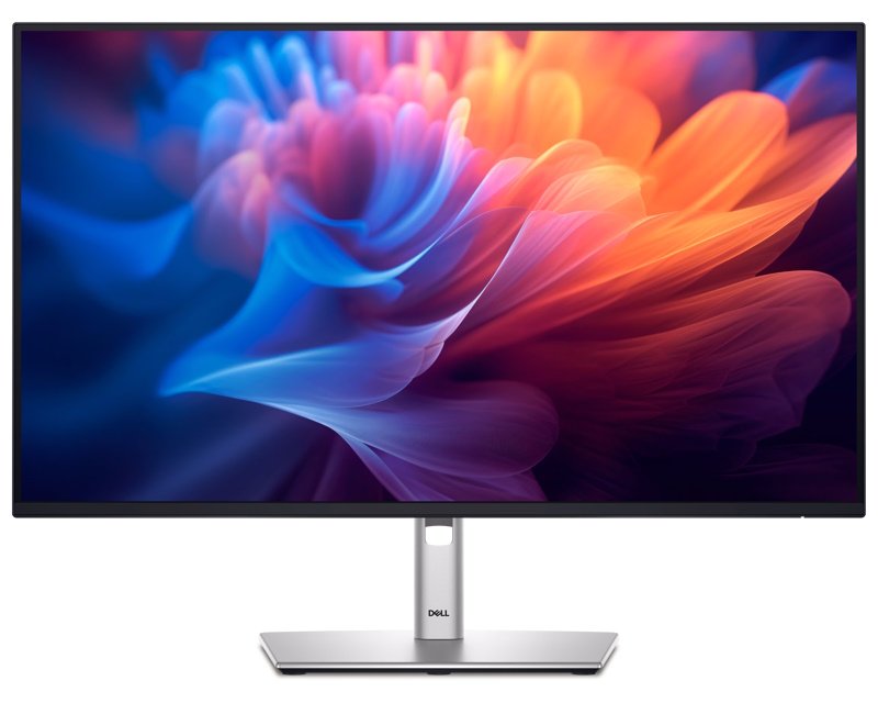 27 inch P2725H 100Hz Professional IPS monitor