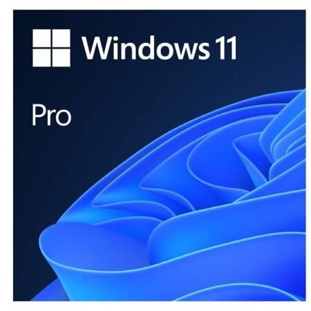 Windows 11 Pro Eng Intl OEM (FQC-10528)
