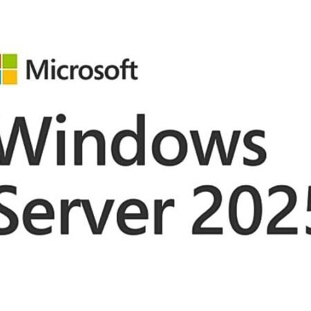 Windows Server Standard 2025 OEM (EP2-25187)