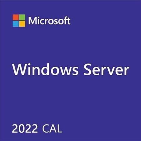 MS OEM Server CAL 2019 English 1pk 5 Clt User, R18-05867