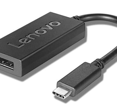NOT DOD LN USB-C to Display Port Adapter, 4X90Q93303