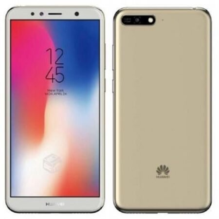 Y6 2018 DS Gold
