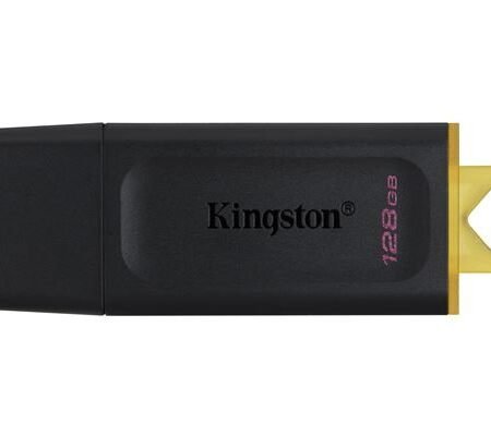 USB FD.128GB KINGSTON DTX/128GB