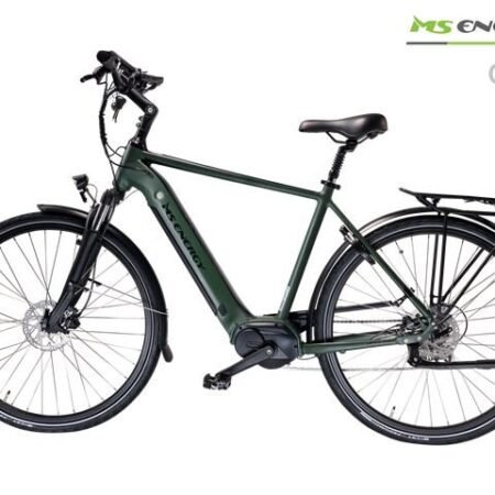 MS ENERGY eBike c501_Size L