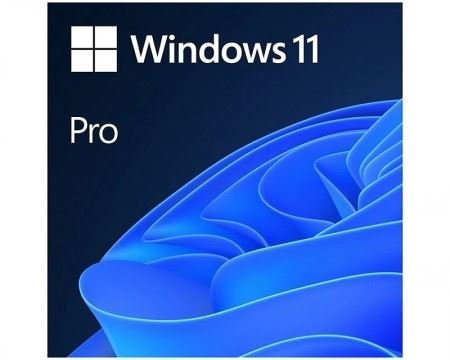 Microsoft FPP Windows 11 Pro Eng 64bit , HAV-00164