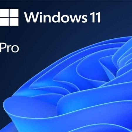 MS GGK Win Pro 11 64bit Eng Intl 1pk DVD, 4YR-00316