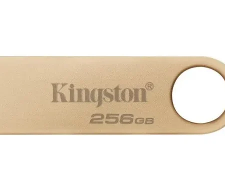 USB Flash Kingston 256GB DataTraveler SE9 G3 USB3.2, DTSE9G3/256GB
