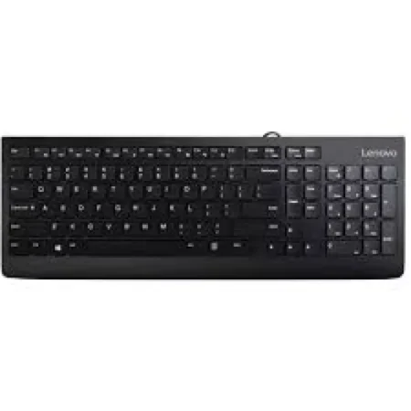 Tastatura žična Lenovo 300 US GX30M39655 crna