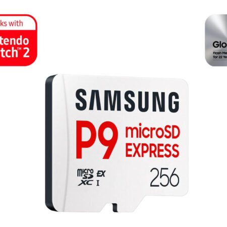 Memorijska kartica P9 Express MicroSDXC Card 256GB MB-MK256T