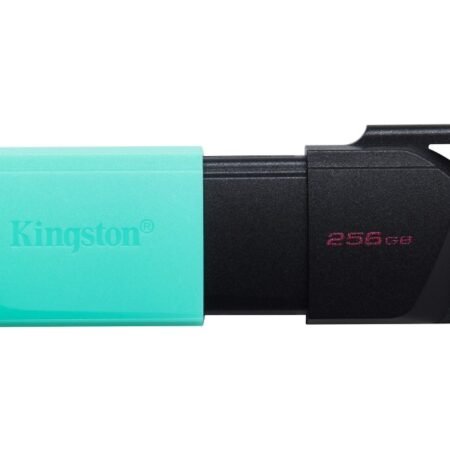 256GB DataTraveler Exodia M USB 3.2 Gen1 DTXM/256GB