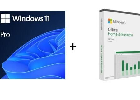 DSP Win11 Pro + Office H&B 2021 - ENG, FQC-10528 + T5D-03516