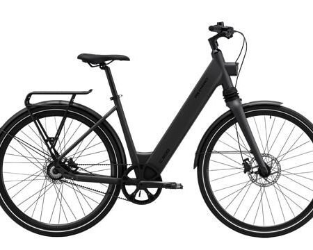 MS ENERGY eBike c300