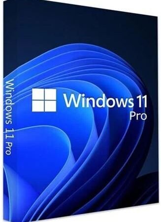 Microsoft GGK Win Pro 11 64bit Eng Intl 1pk DVD, 4YR-00316