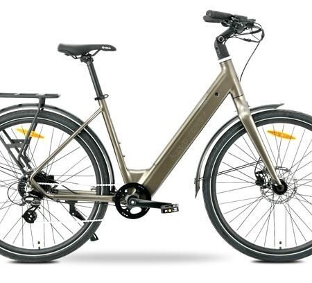 MS ENERGY eBike Zorya bronze_REG